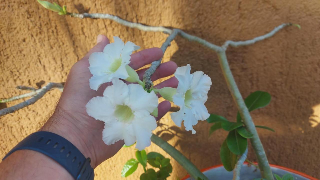 بلايا ديل كارمن Myoli Wellness & Happiness Bnb المظهر الخارجي الصورة