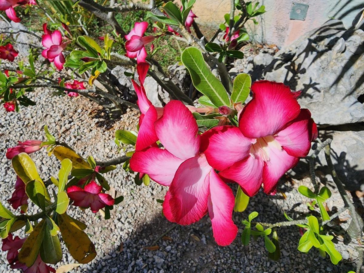 بلايا ديل كارمن Myoli Wellness & Happiness Bnb المظهر الخارجي الصورة