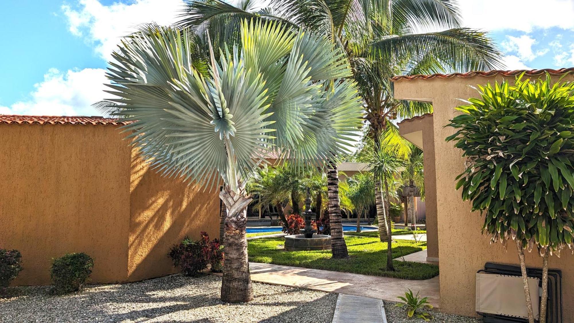 بلايا ديل كارمن Myoli Wellness & Happiness Bnb المظهر الخارجي الصورة